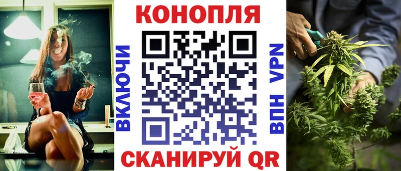 Где купить Яровое Галлюциногенные грибы Гашиш Каннабис