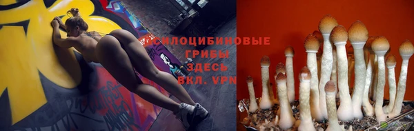 Альфа ПВП Алексин