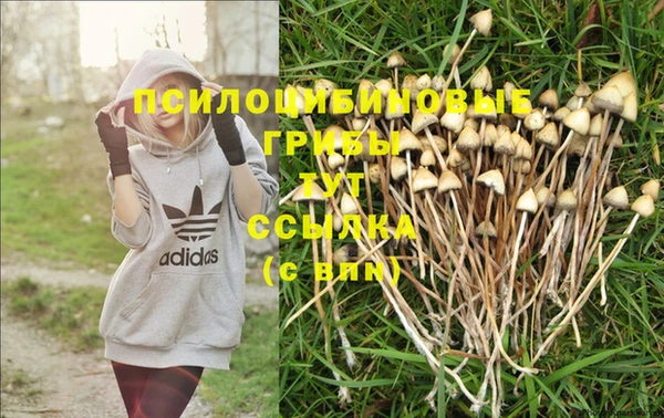 МДМА Алзамай