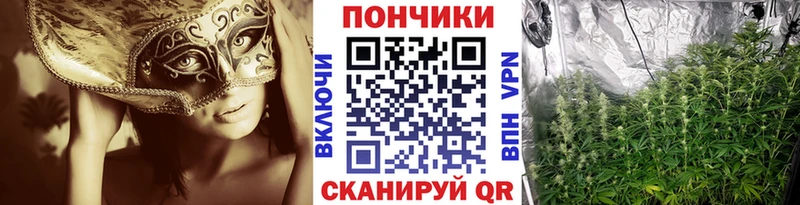 Бошки марихуана марихуана  Яровое 